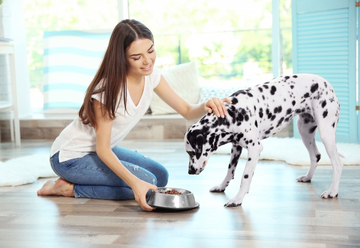 The best nutrition for your pets